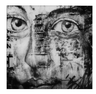 fotografia d'arte genova