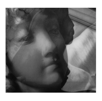 fotografia d'arte genova