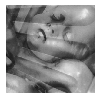 fotografia d'arte genova