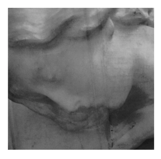 fotografia d'arte genova